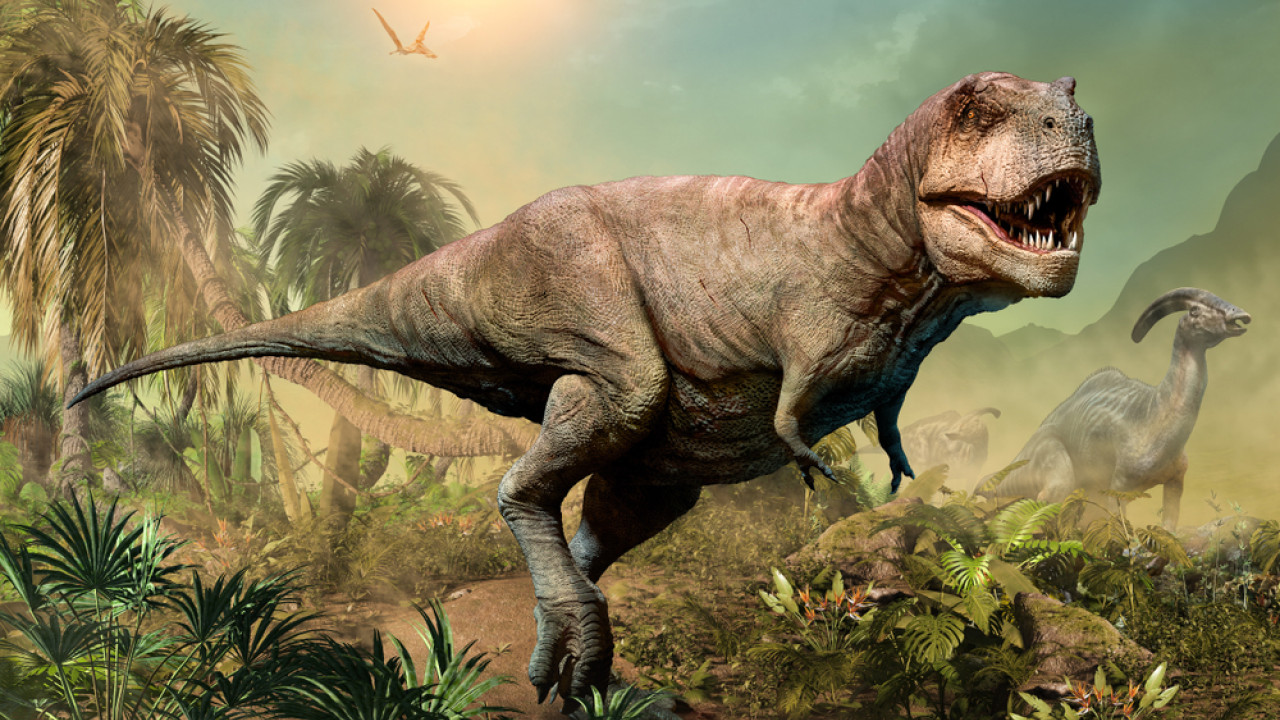 tyrannosaurus rex shutterstock.jpg