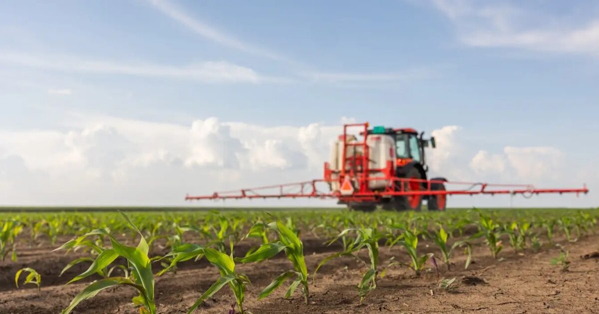 agriculture istock 1 1200x630.jpeg