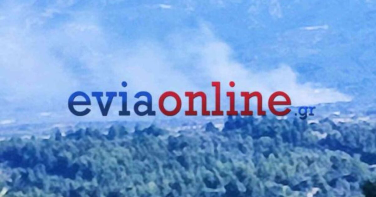 eviaonline 1 1200x630.jpg