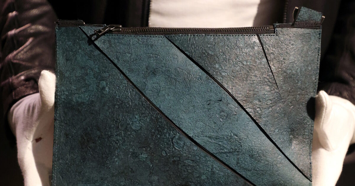 handbag tyrannosaurus1 09062026 1200x630.jpg