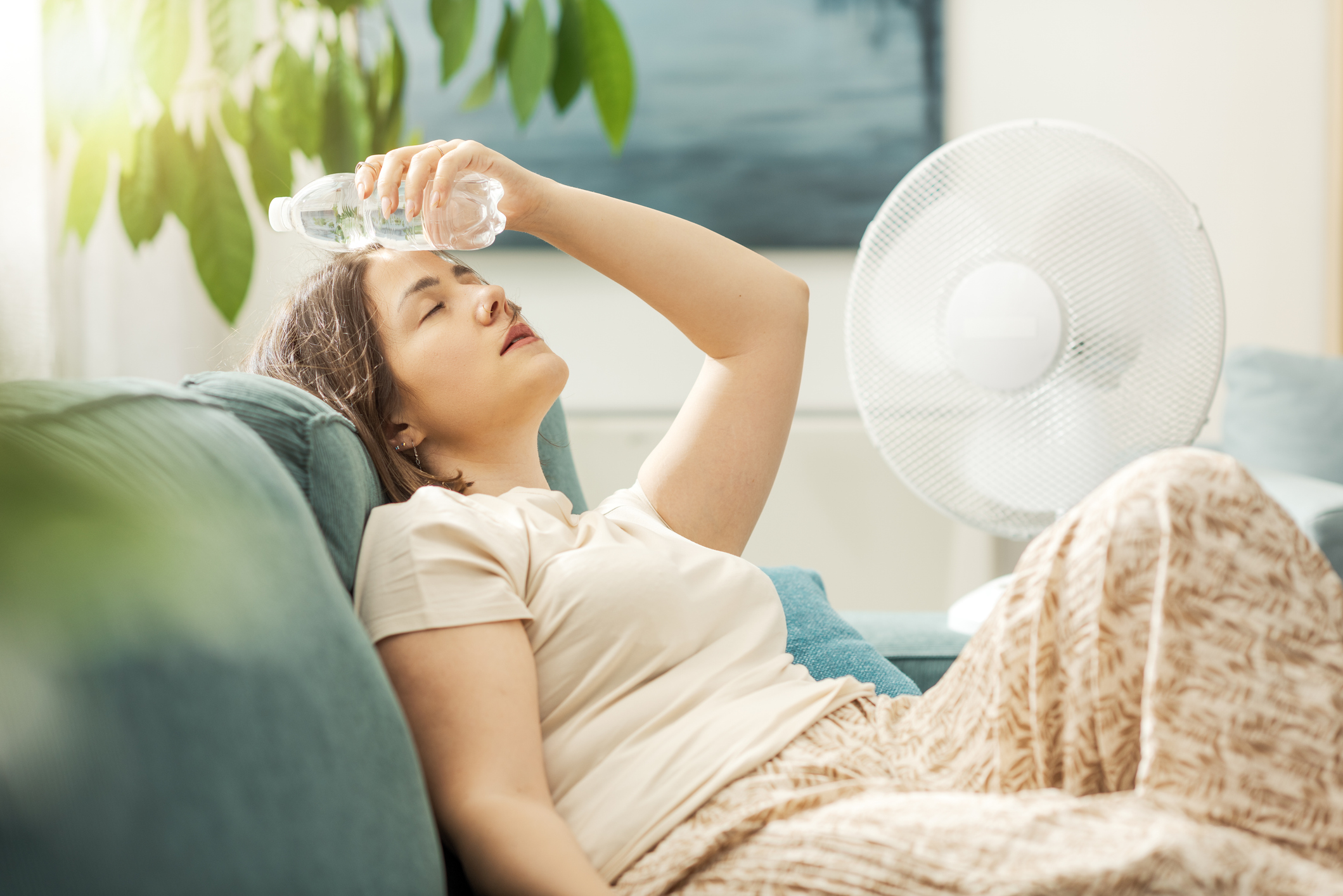 istock 2195107523.jpg