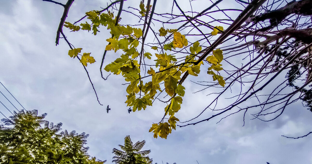 kairos1 2 1200x630.jpg