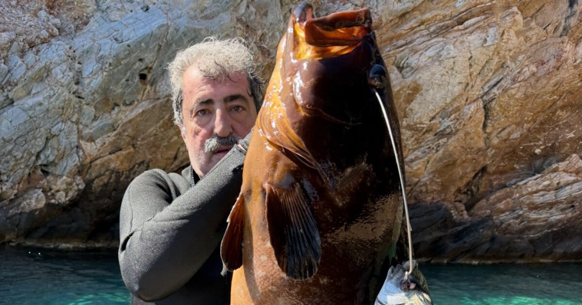 polakis rofos fb 1200x630.jpg