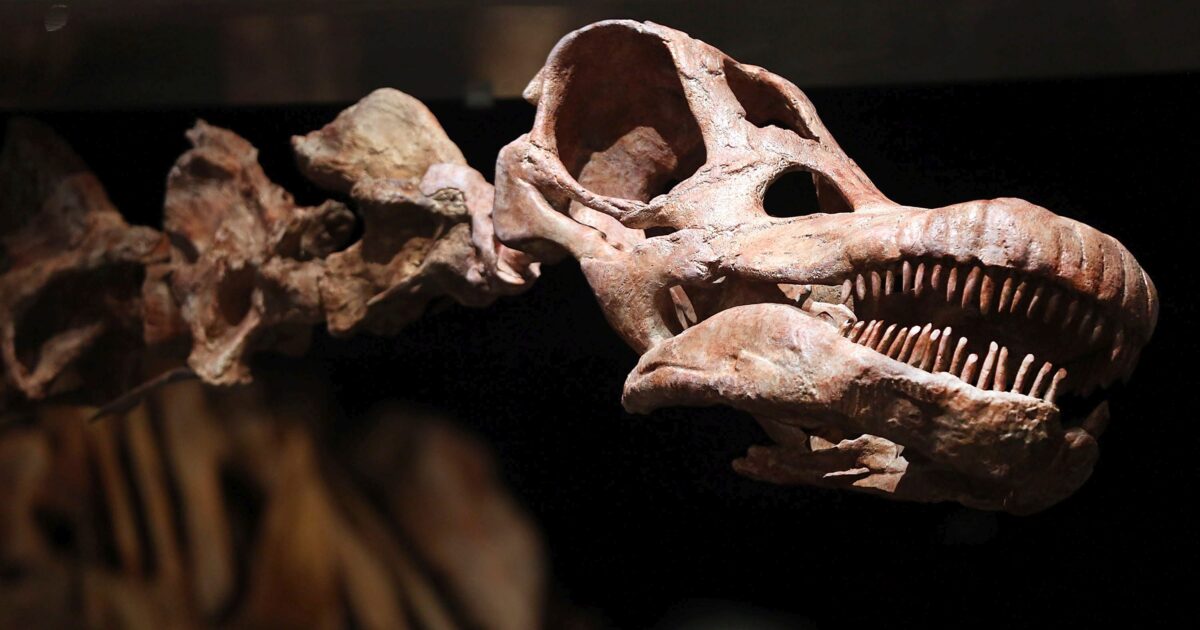 titanosaur 1200x630.jpg