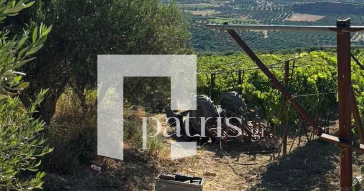 trakter patris 1200x630.jpg