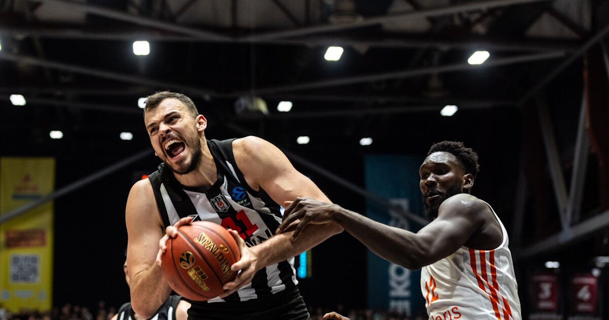 zizic 1200x630.jpg