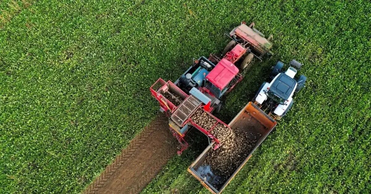 agrotes trakter reuters 1200x630.jpg