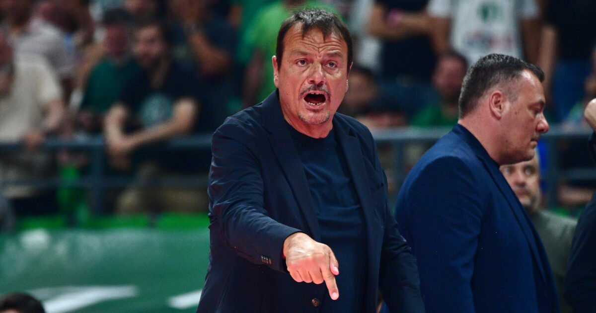 ataman 6 1200x630.jpg