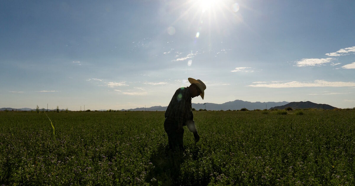 farmer 1200x630.jpg