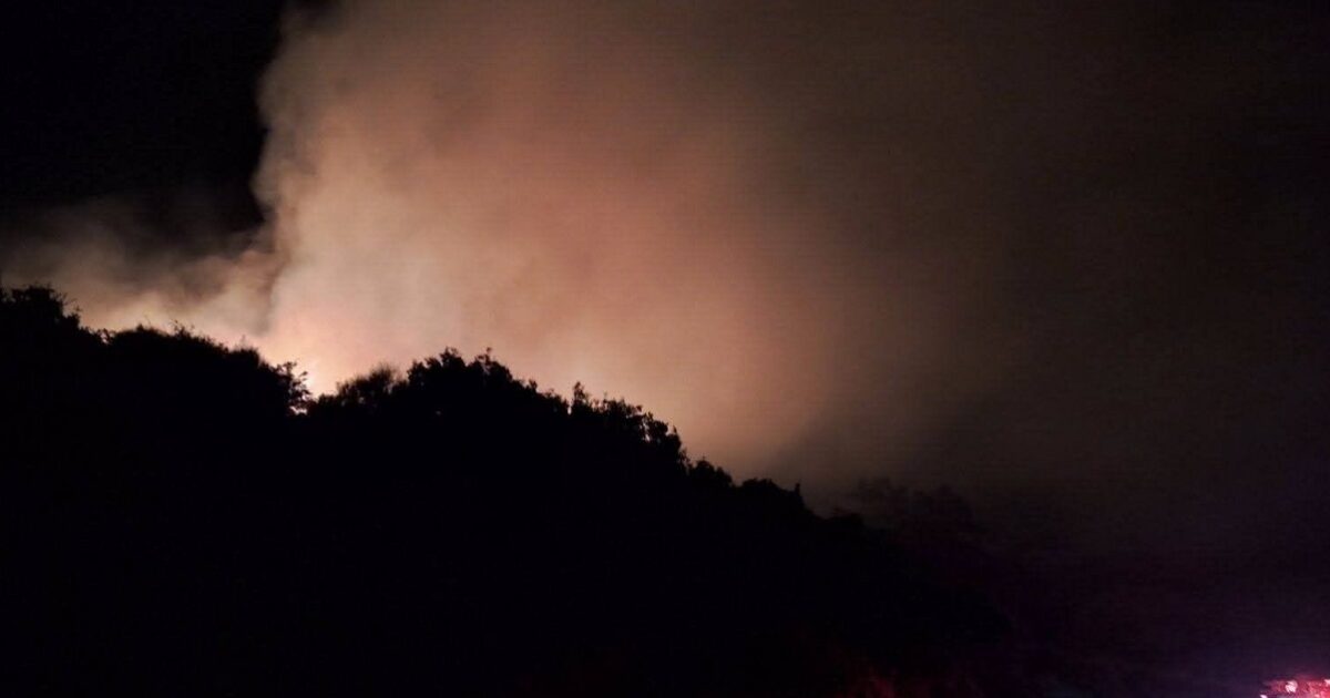 fwtia samos 2 1200x630.jpg