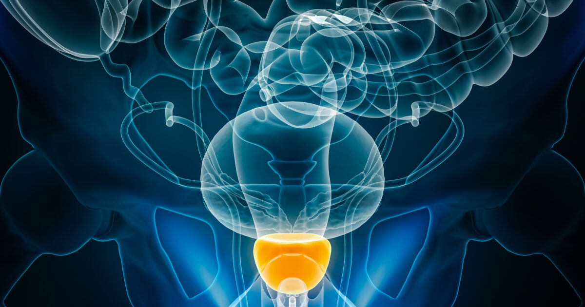 istock 2230778372 1200x630.jpg