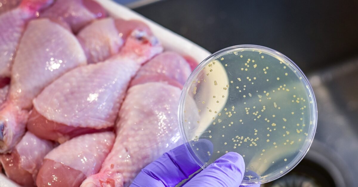 salmonela istock 1333117917 1 1200x630.jpg