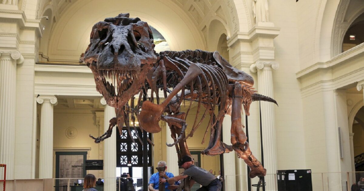 t rex 1200x630.jpg