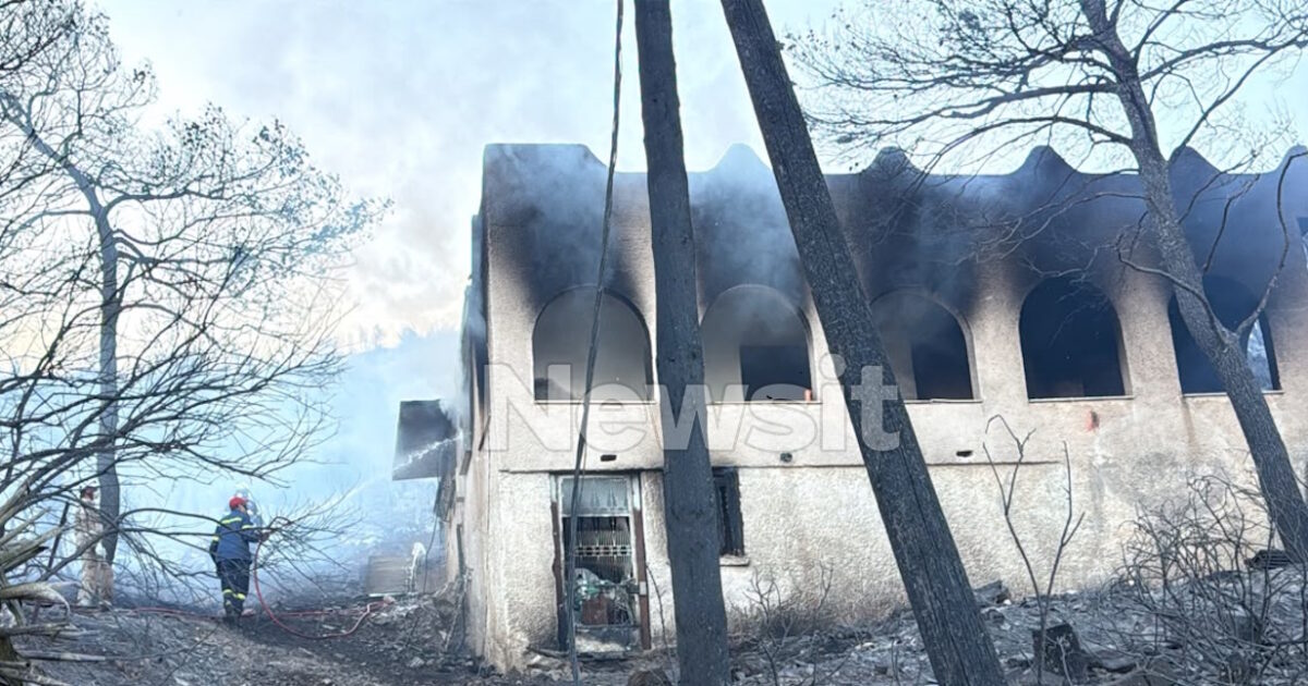 1786911687 salamina fwtia 2 1200x630.jpg