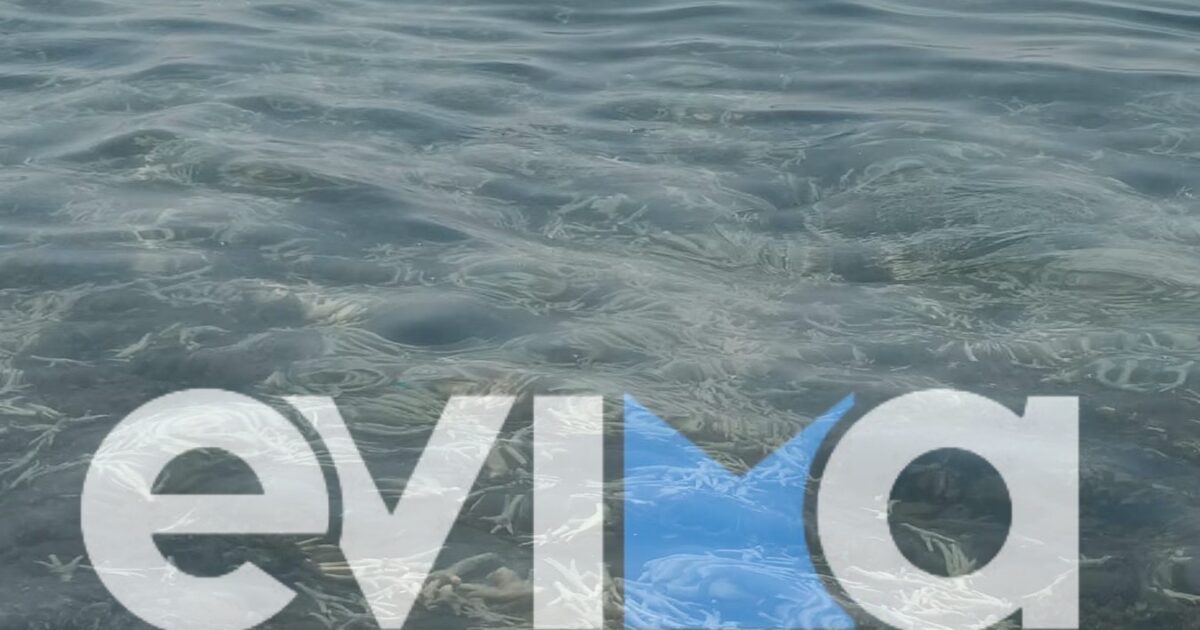 evoia2 22082026 1200x630.jpeg