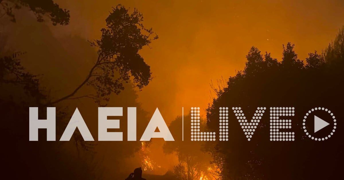 fotia ileia 1 1200x630.jpg