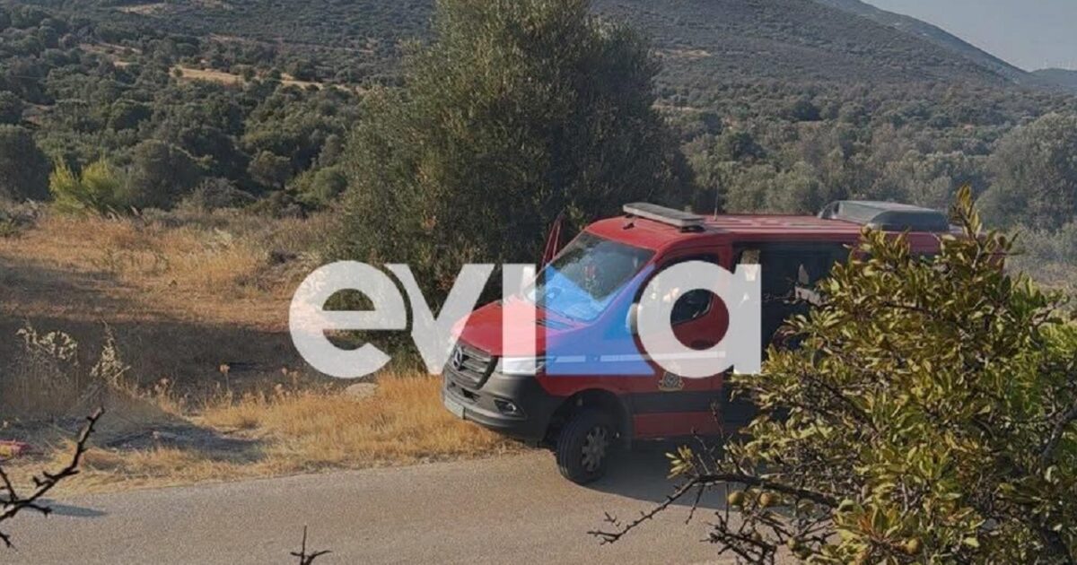 fwtia evoia 1200x630.jpg
