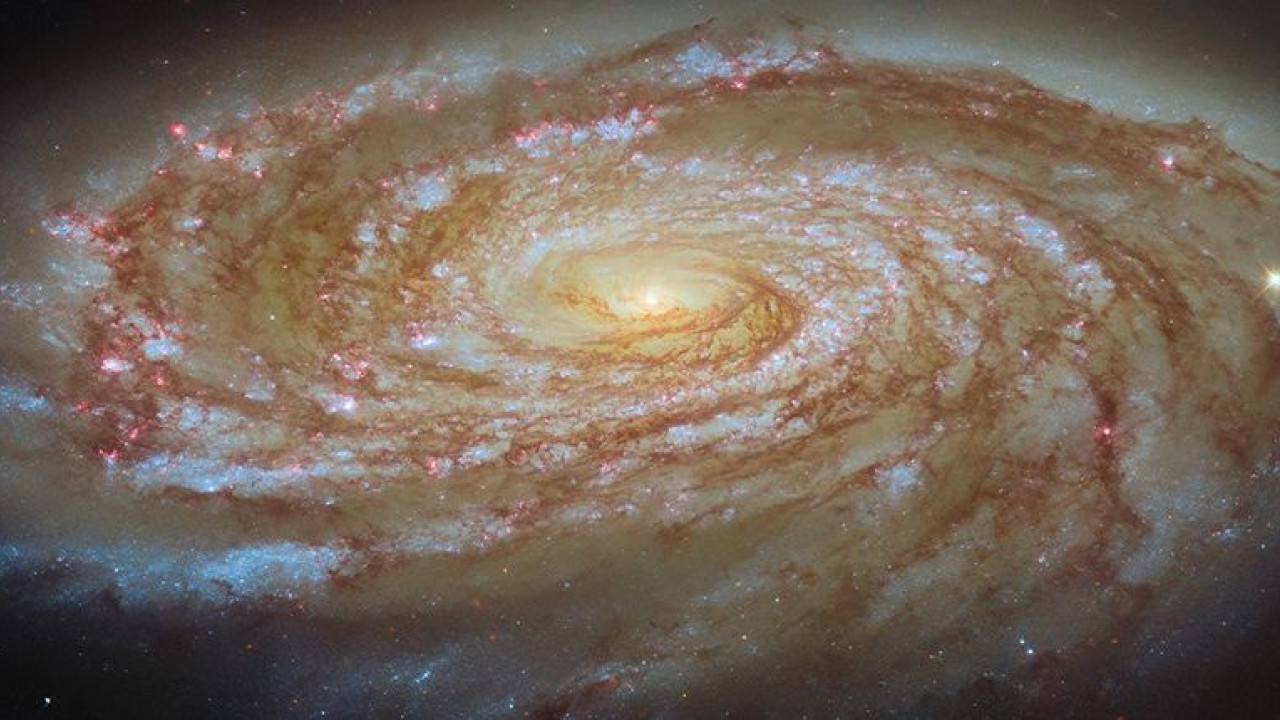 hubble m88 potm2605a.jpg