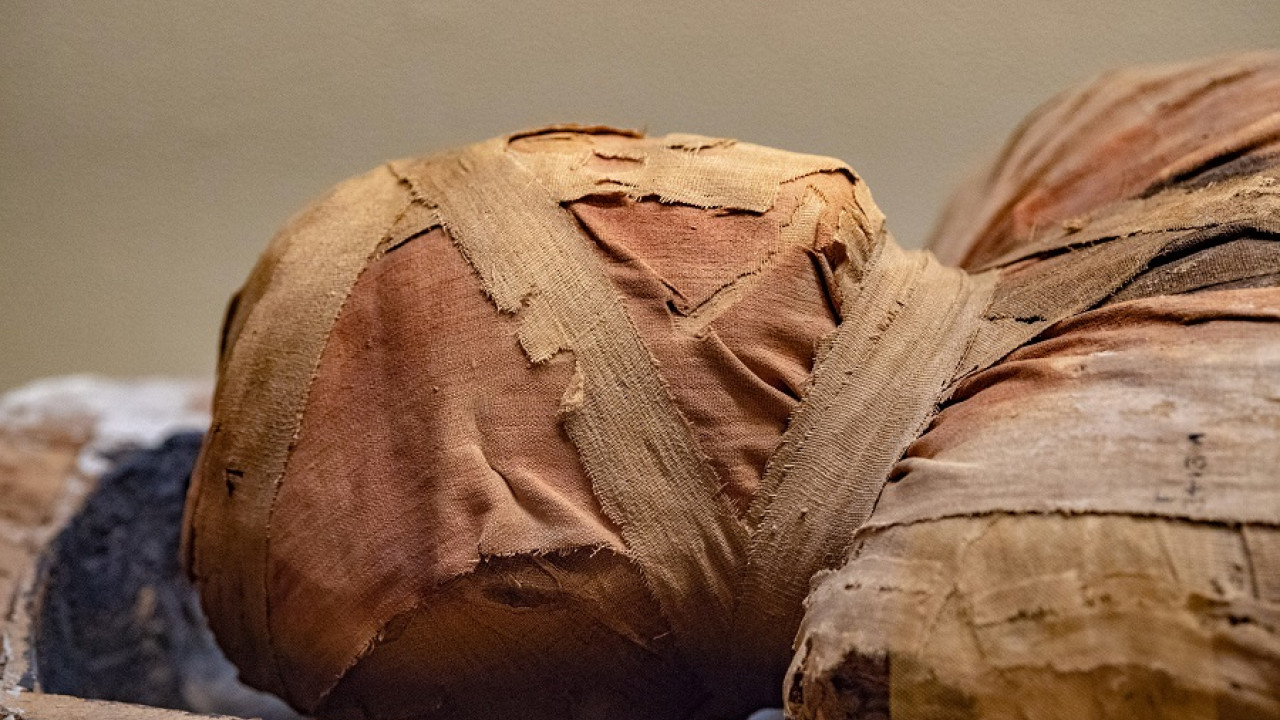 mummy shutterstock.jpg