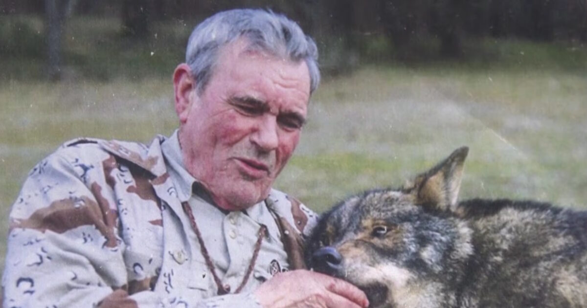 spain wolves 1200x630.jpg