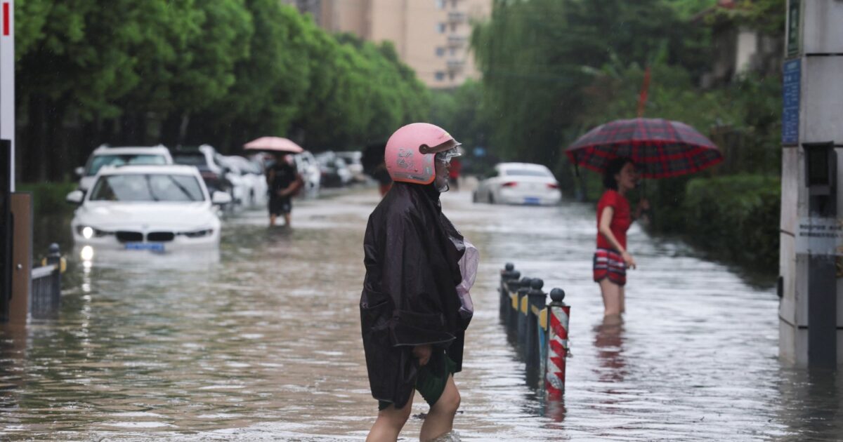tyfonas kina dolphin shanghai reuters 1 1200x630.jpg