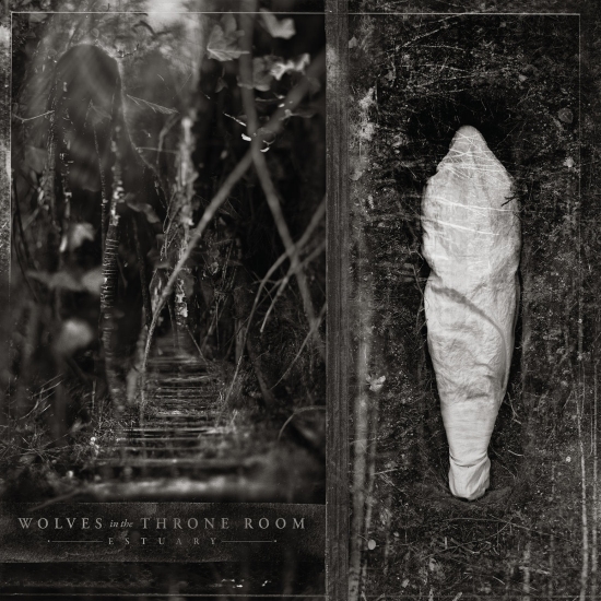 wittr cover.jpg