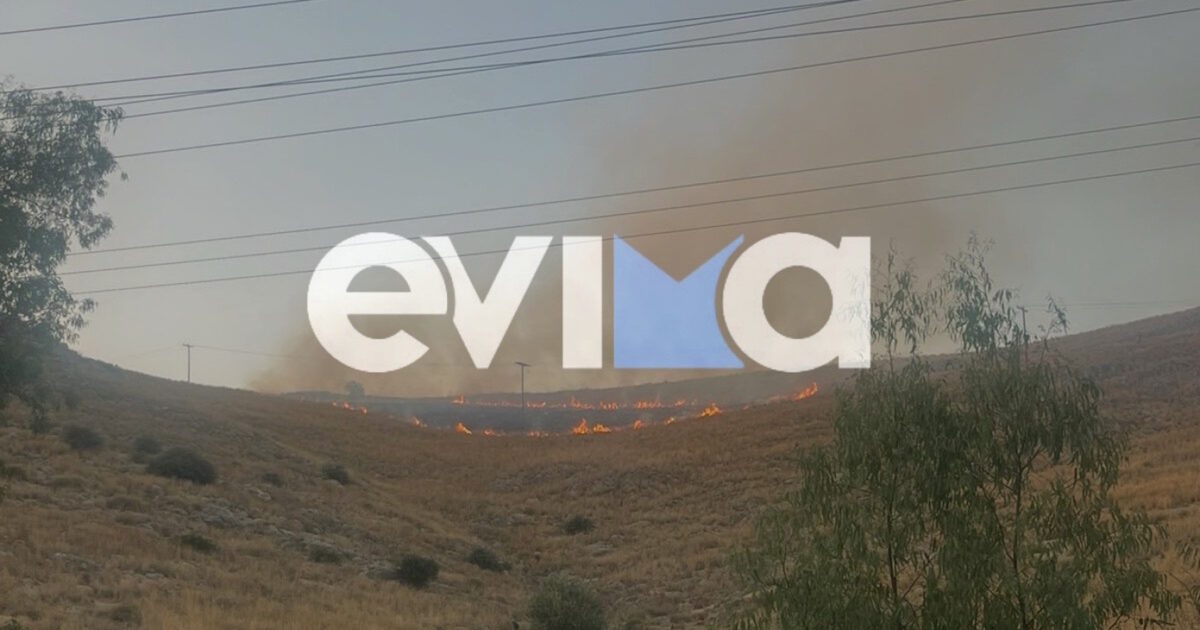 xalkida 1200x630.jpeg