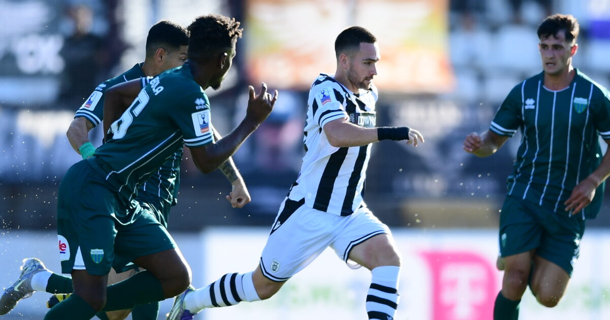 zivkovic 4 1200x630.jpg