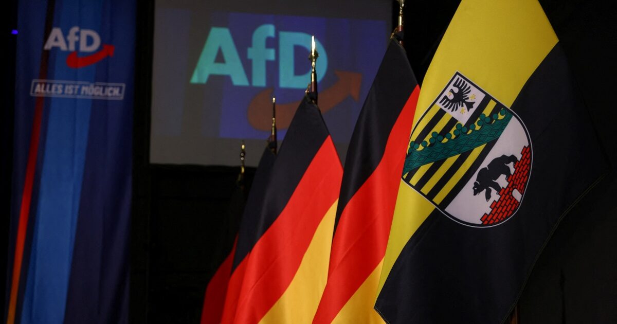 afd germany 1 1200x630.jpg
