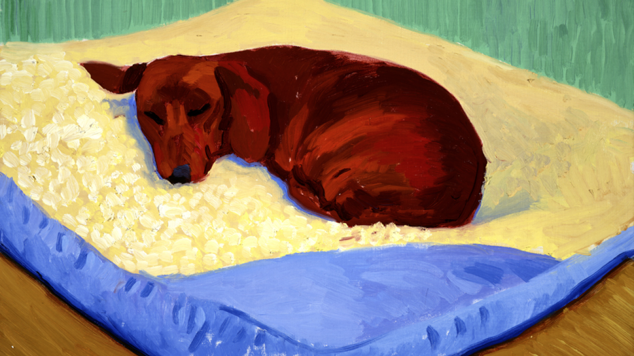 hockney dog.png