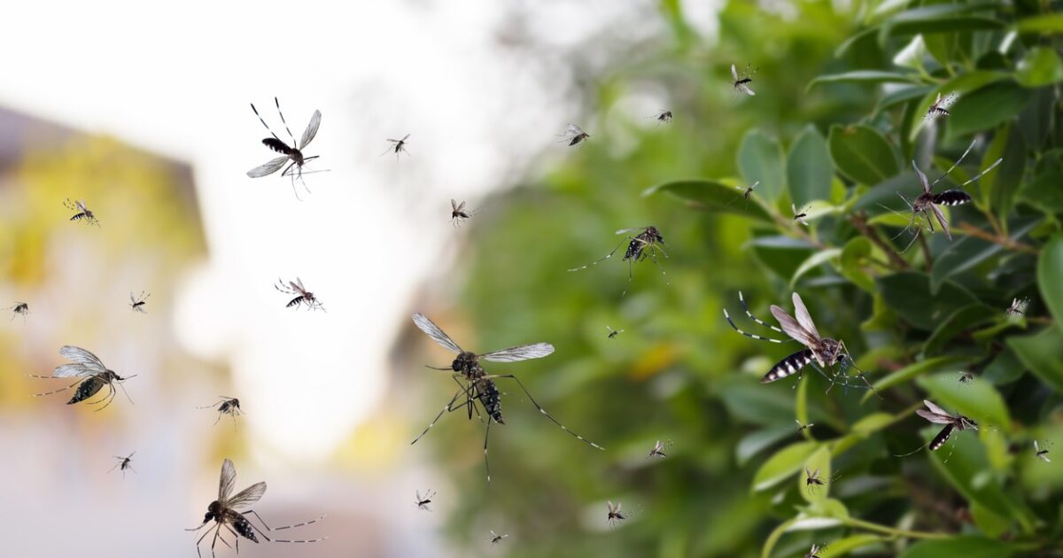 istock 1395629783 1200x630.jpeg