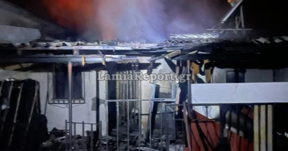 lamia lamiareport 2 1200x630.jpg