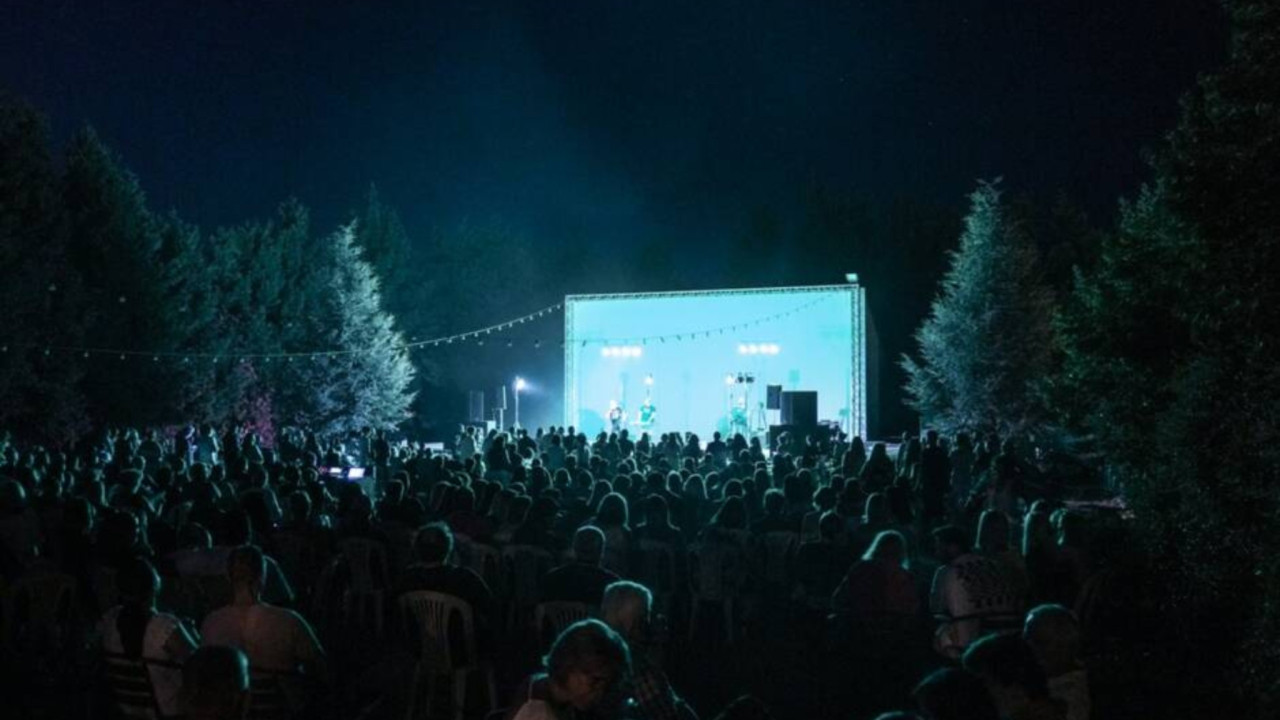 live11.jpg