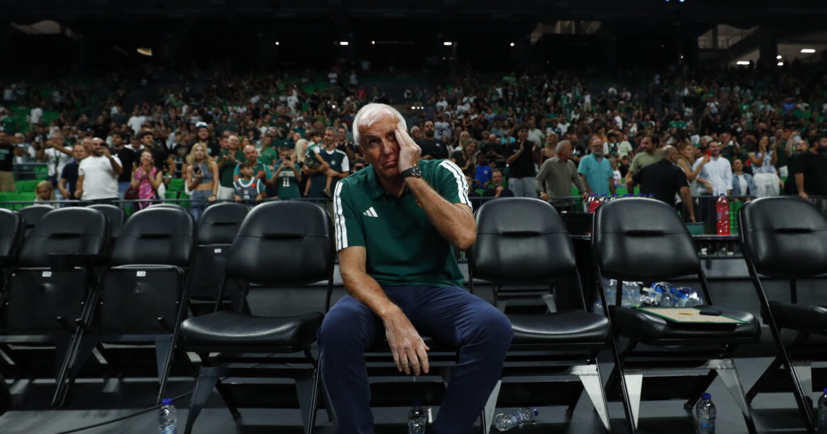 obradovic 1200x630.jpg