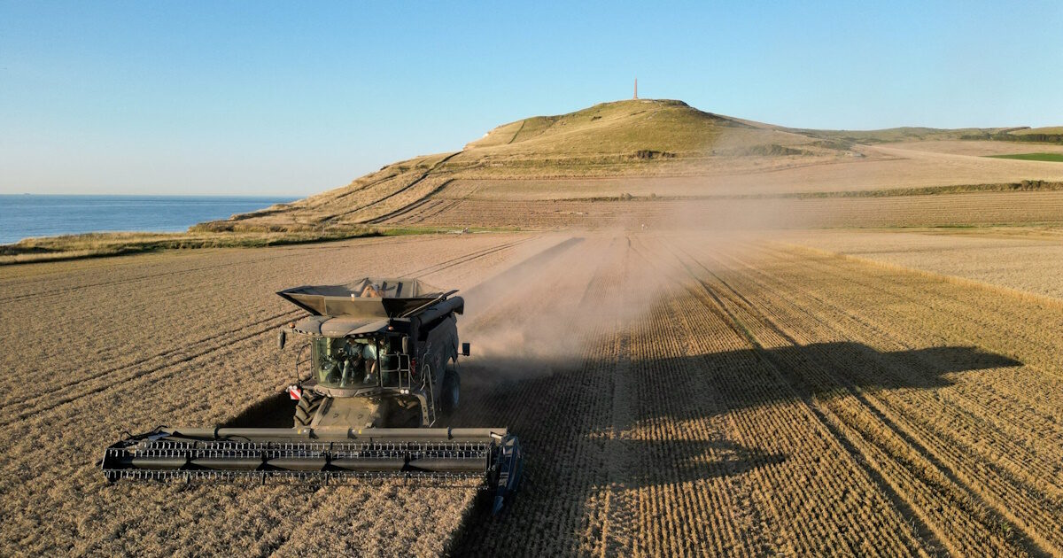 agrotes reuters scaled 1 1200x630.jpg