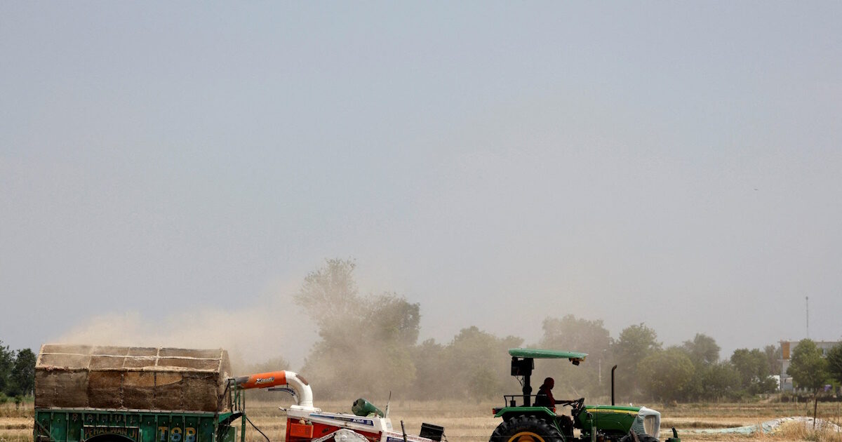 farmers xorafi agrotes reuters s 1 1200x630.jpg