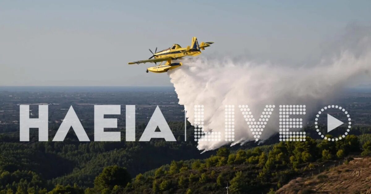fwtia ileia 1200x630.jpg