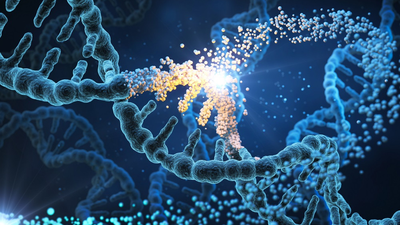 human dna shutterstock.jpg