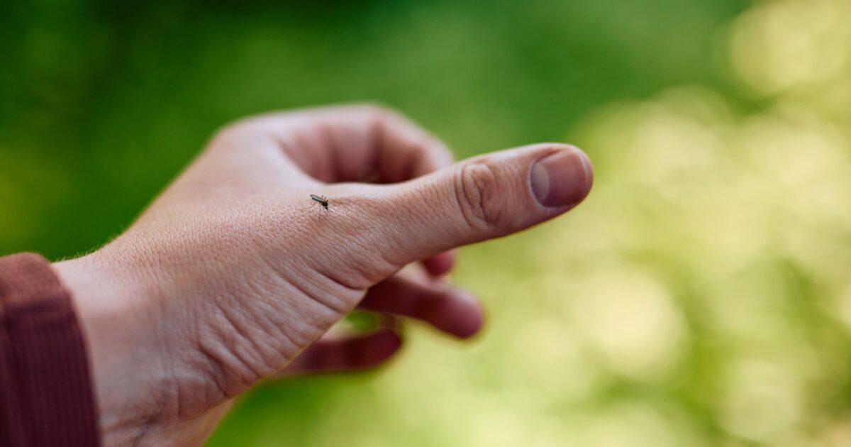 istock 2212734974 1200x630.jpg