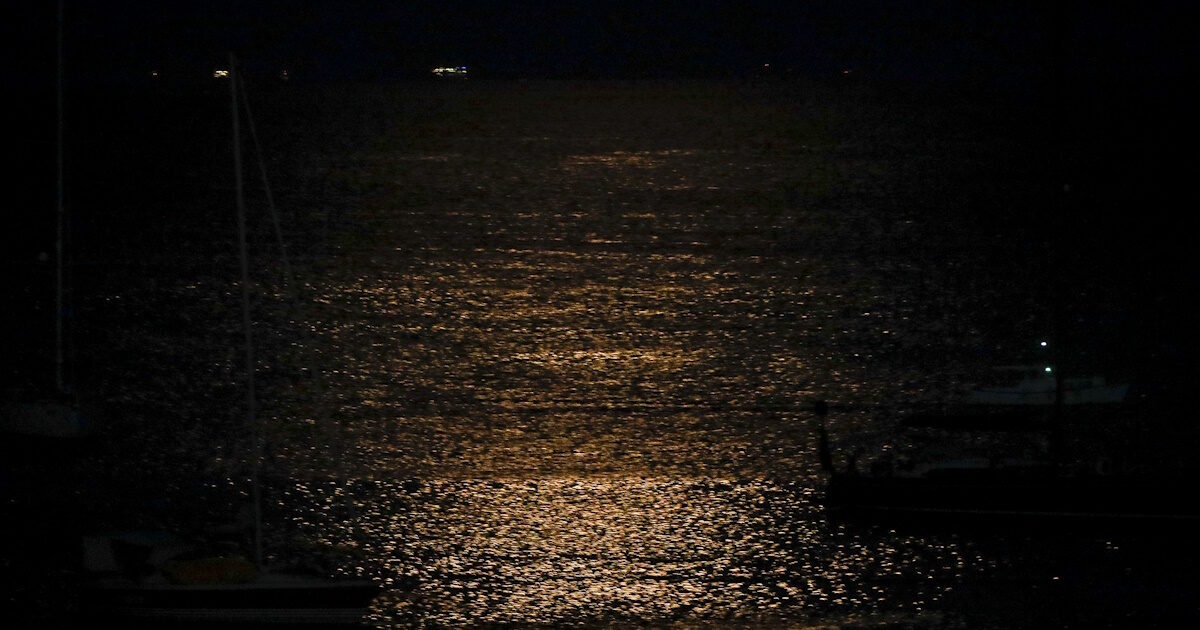 thalassa vrady 12102026 1200x630.jpg