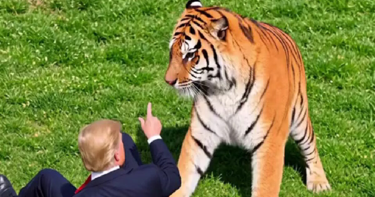 trumptigris 1200x630.jpg